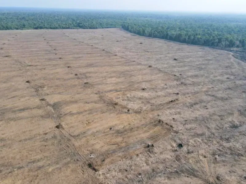 Fazenda em Mocajuba/Pará — Ref NU1R5V — Imagem 2