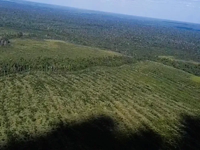 Fazenda em Mocajuba/Pará — Ref NU1R5V — Imagem 4