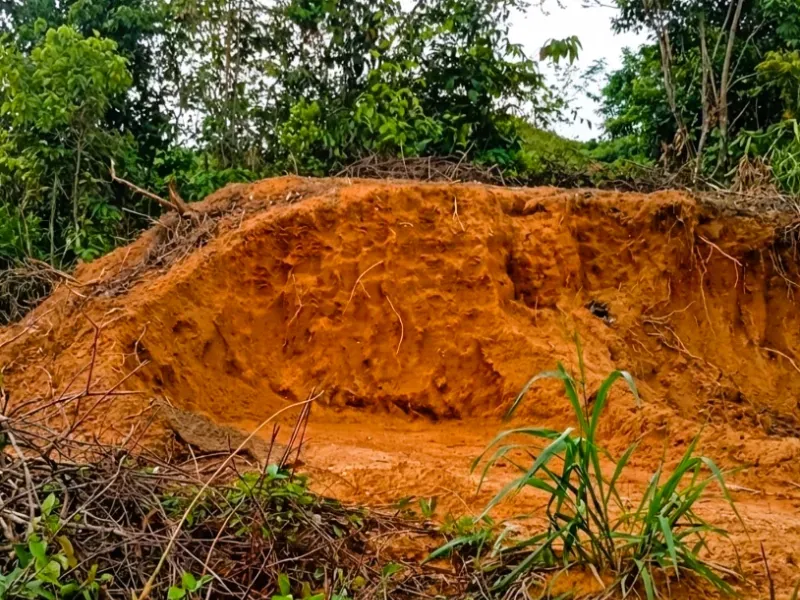 Fazenda em Mocajuba/Pará — Ref NU1R5V — Imagem 8
