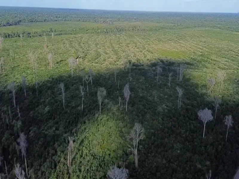 Fazenda em Mocajuba/Pará — Ref NU1R5V — Imagem 7
