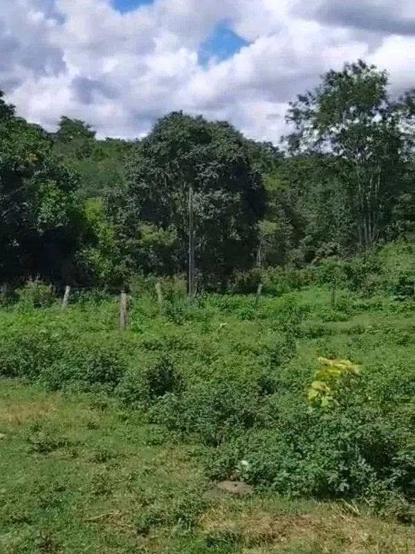 Sítio em Hidrolândia/Goiás — Ref O9F7I6 — Imagem 5