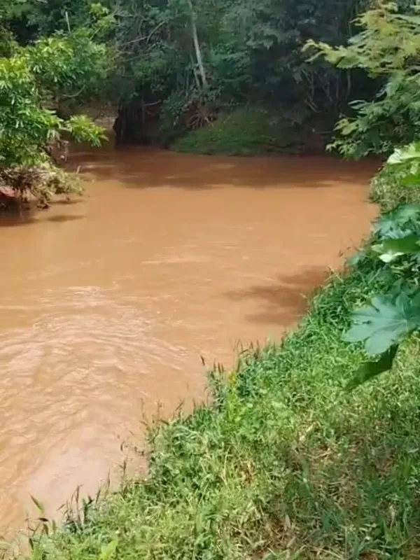 Sítio em Hidrolândia/Goiás — Ref O9F7I6 — Imagem 3