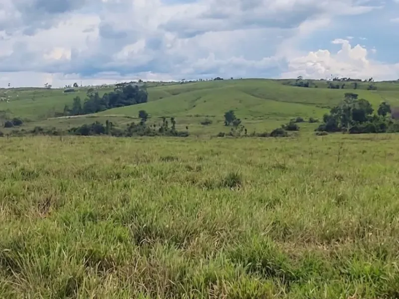 Fazenda em Capanema/Pará — Ref QRVJO9 — Imagem 4