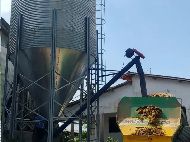 Fazenda em Capanema/Pará — Ref QRVJO9 — Imagem 5