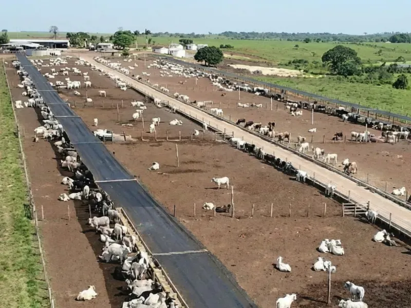 Fazenda em Capanema/Pará — Ref QRVJO9 — Imagem 9