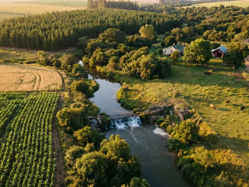 Imagem aérea de uma propriedade rural integrada, mostrando campos de milho, pasto com gado, construções da fazenda e um riacho com uma pequena cachoeira.