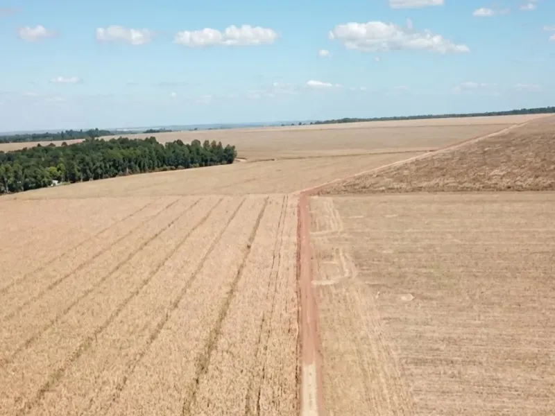 Fazenda em Araguaiana/Mato Grosso — Ref JVG69O — Imagem 8