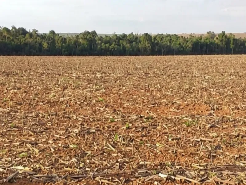Fazenda em Araguaiana/Mato Grosso — Ref JVG69O — Imagem 9