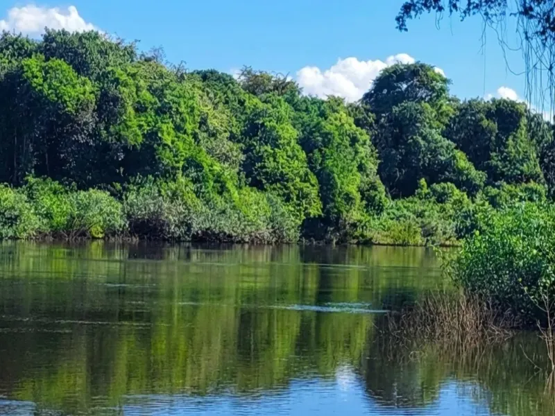 Fazenda em Araguaiana/Mato Grosso — Ref JVG69O — Imagem 14