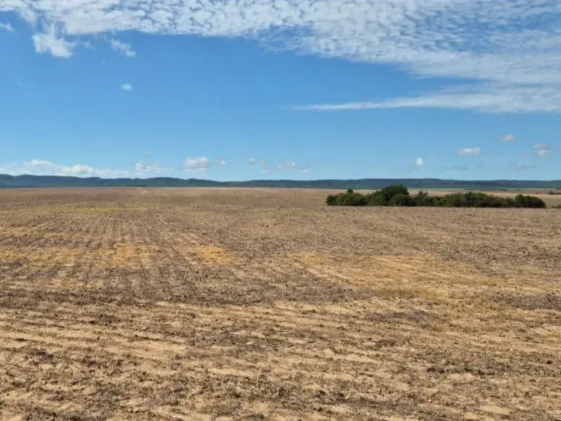 Fazenda em Planalto da Serra/Mato Grosso — Ref T3C8T1 — Imagem 2