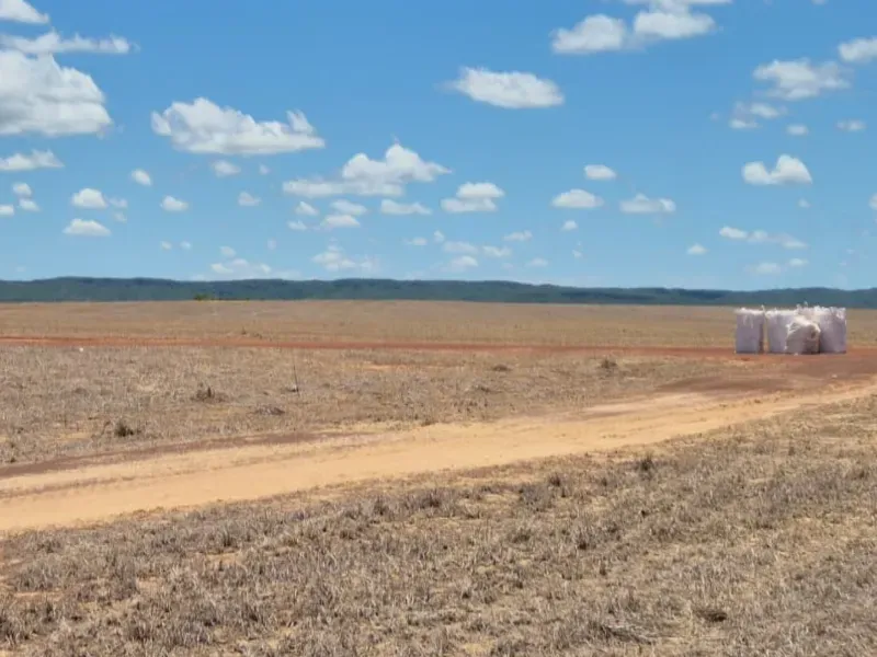 Fazenda em Planalto da Serra/Mato Grosso — Ref T3C8T1 — Imagem 3