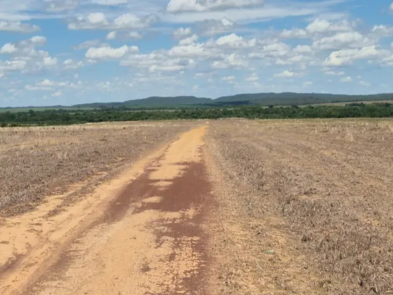 Fazenda em Planalto da Serra/Mato Grosso — Ref T3C8T1 — Imagem 4