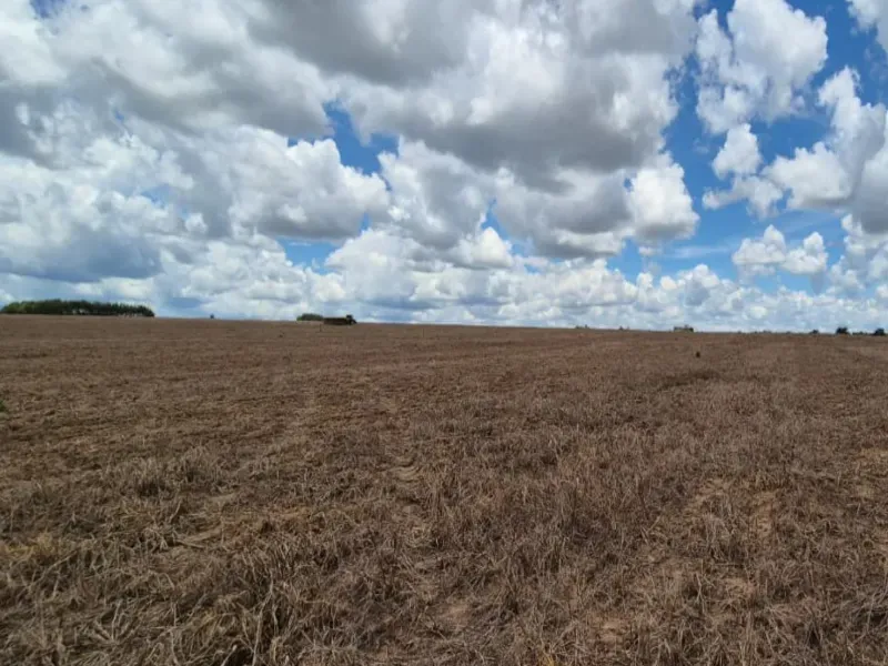 Fazenda em Planalto da Serra/Mato Grosso — Ref T3C8T1 — Imagem 5