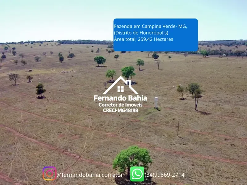 Fazenda em Campina Verde/Minas Gerais — Ref FXL4O0 — Imagem 4