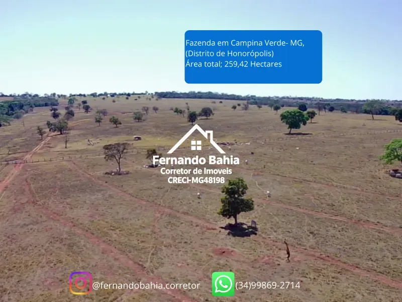 Fazenda em Campina Verde/Minas Gerais — Ref FXL4O0 — Imagem 6