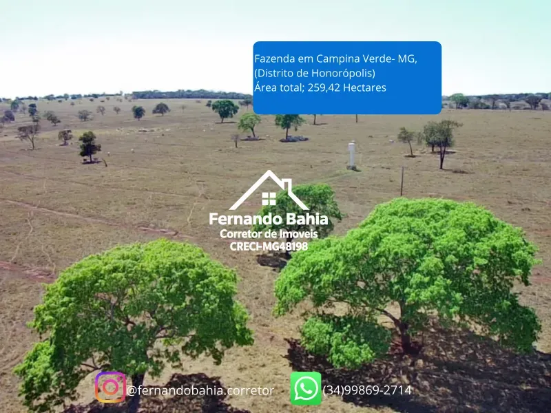 Fazenda em Campina Verde/Minas Gerais — Ref FXL4O0 — Imagem 7