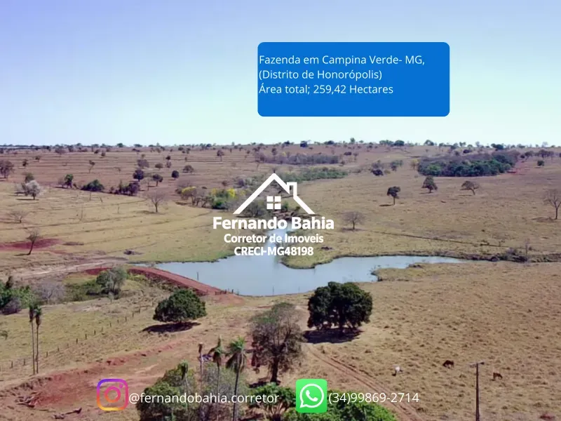 Fazenda em Campina Verde/Minas Gerais — Ref FXL4O0 — Imagem 8