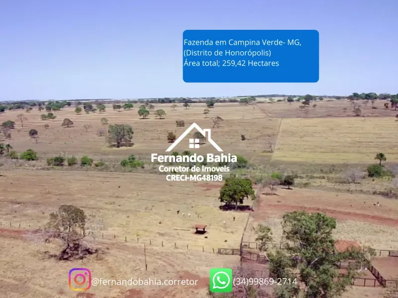 Fazenda em Campina Verde/Minas Gerais — Ref FXL4O0 — Imagem 10