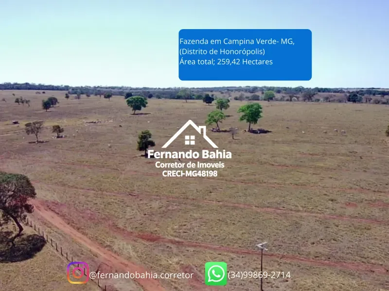 Fazenda em Campina Verde/Minas Gerais — Ref FXL4O0 — Imagem 11