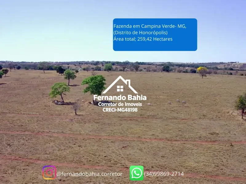 Fazenda em Campina Verde/Minas Gerais — Ref FXL4O0 — Imagem 12