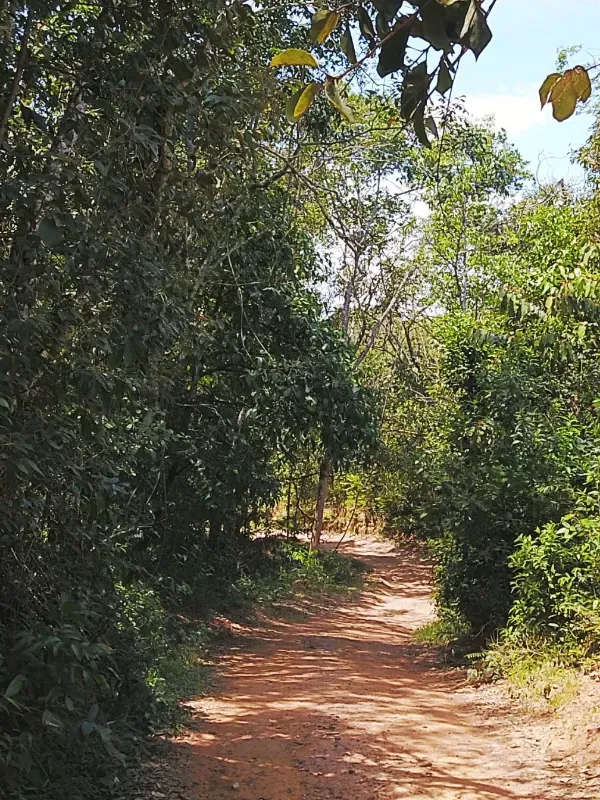 Fazenda em Corumbá de Goiás/Goiás — Ref FQJRT5 — Imagem 6