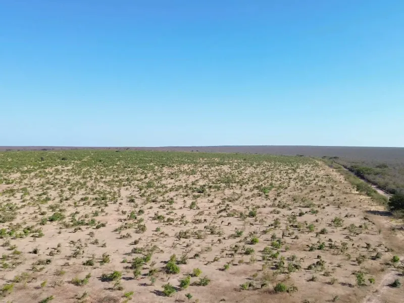 Fazenda em Currais/Piauí — Ref 2EQX3D — Imagem 4