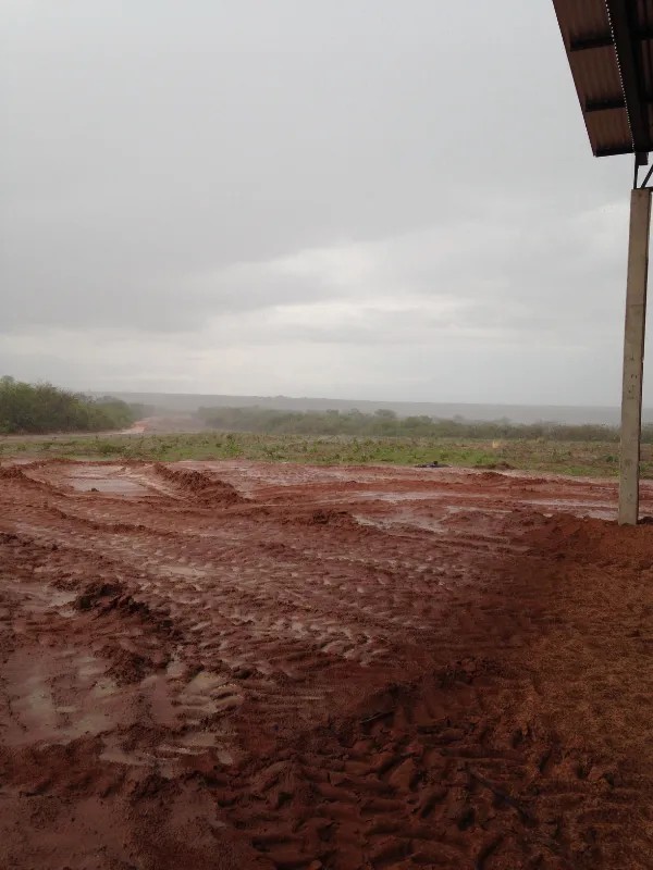 Fazenda em Currais/Piauí — Ref 2EQX3D — Imagem 5