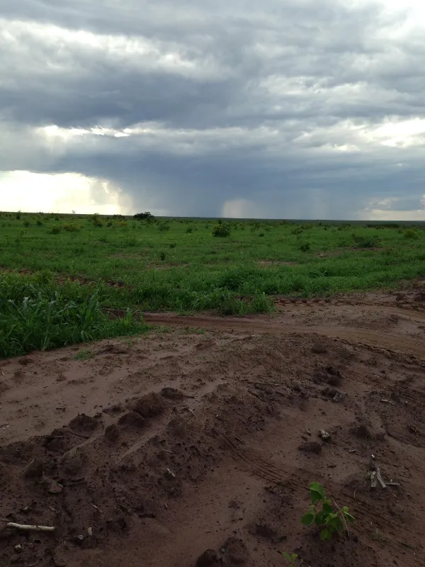 Fazenda em Currais/Piauí — Ref 2EQX3D — Imagem 6