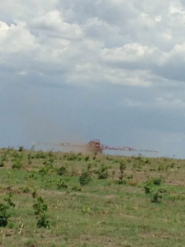 Fazenda em Currais/Piauí — Ref 2EQX3D — Imagem 7