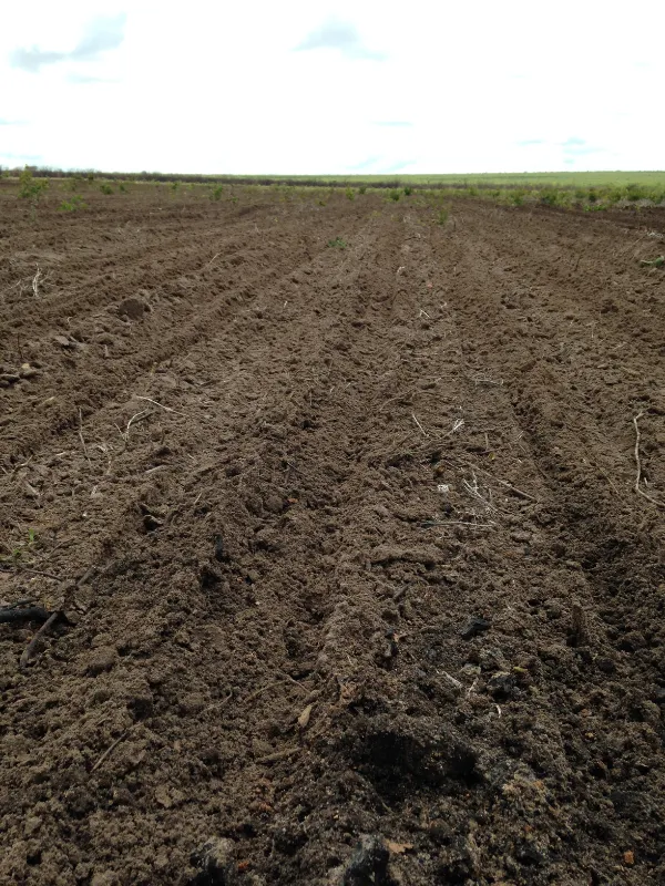 Fazenda em Currais/Piauí — Ref 2EQX3D — Imagem 9