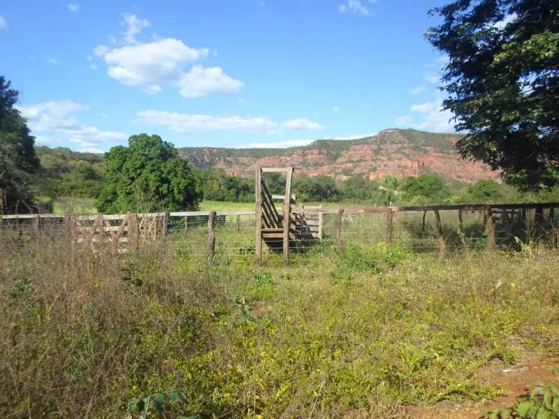 Fazenda em Currais/Piauí — Ref 2EQX3D — Imagem 10