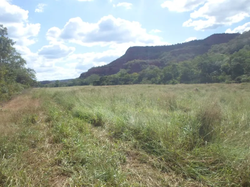 Fazenda em Currais/Piauí — Ref 2EQX3D — Imagem 11