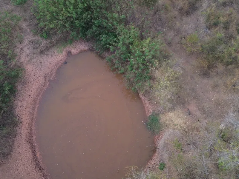 Fazenda em Currais/Piauí — Ref 2EQX3D — Imagem 14