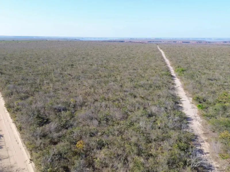 Fazenda em Currais/Piauí — Ref 2EQX3D — Imagem 15