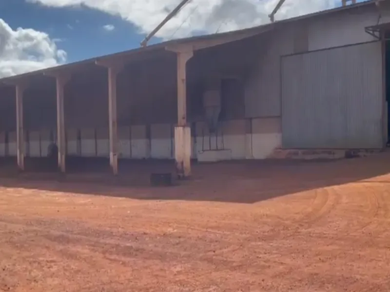 Fazenda em São João d'Aliança/Goiás — Ref 42B7M7 — Imagem 7