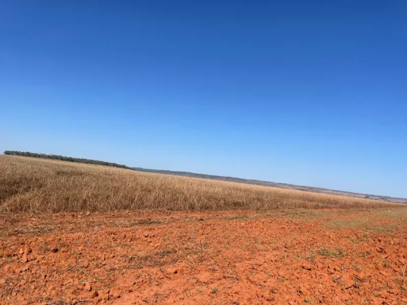 Fazenda em São João d'Aliança/Goiás — Ref 42B7M7 — Imagem 12