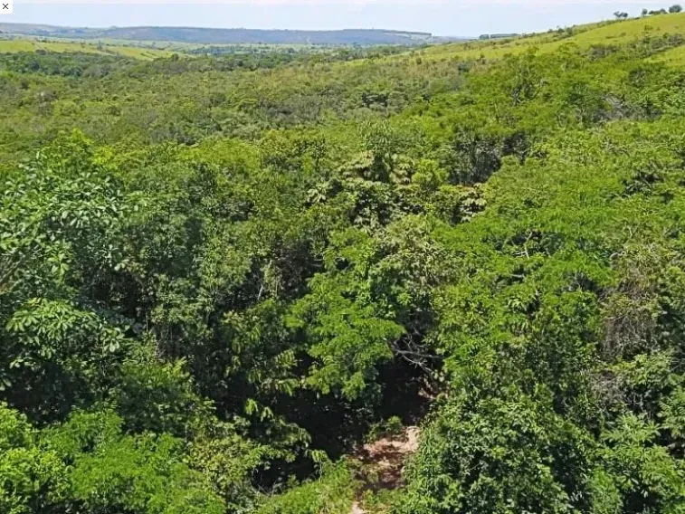 Fazenda em Corumbá de Goiás/Goiás — Ref FQJRT5 — Imagem 7