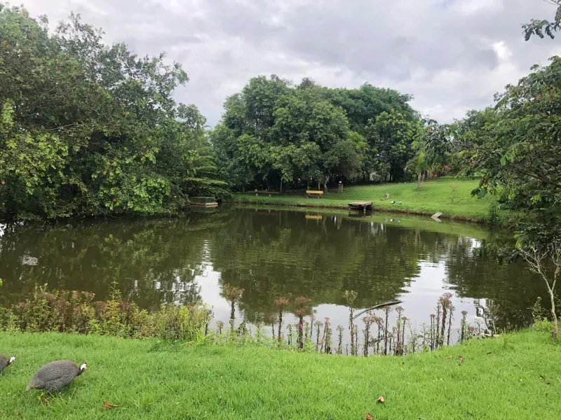 Chácara em Piracicaba/São Paulo — Ref MEGAMX — Imagem 17