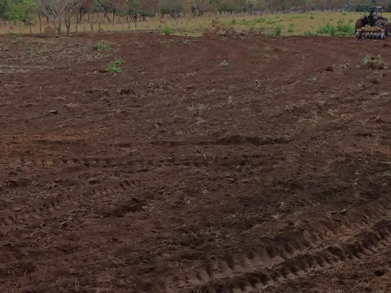 Fazenda em Rio Verde de Mato Grosso/Mato Grosso do Sul — Ref WC9S32 — Imagem 3