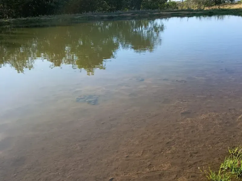 Fazenda em Rio Verde de Mato Grosso/Mato Grosso do Sul — Ref WC9S32 — Imagem 4