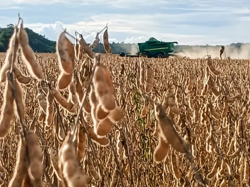 Fazenda em Paranatinga/Mato Grosso — Ref J8GZF4 — Imagem 9