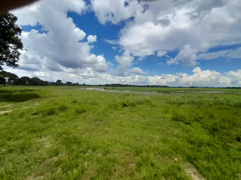 Fazenda em Corumbá/Mato Grosso do Sul — Ref US659L — Imagem 6
