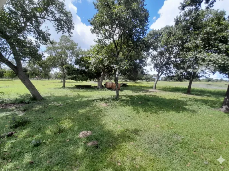 Fazenda em Corumbá/Mato Grosso do Sul — Ref US659L — Imagem 7