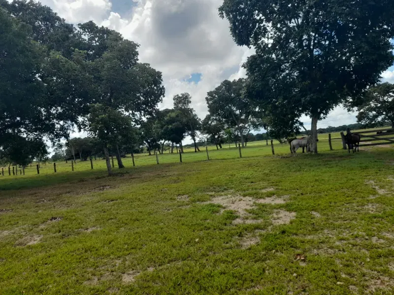 Fazenda em Corumbá/Mato Grosso do Sul — Ref US659L — Imagem 5