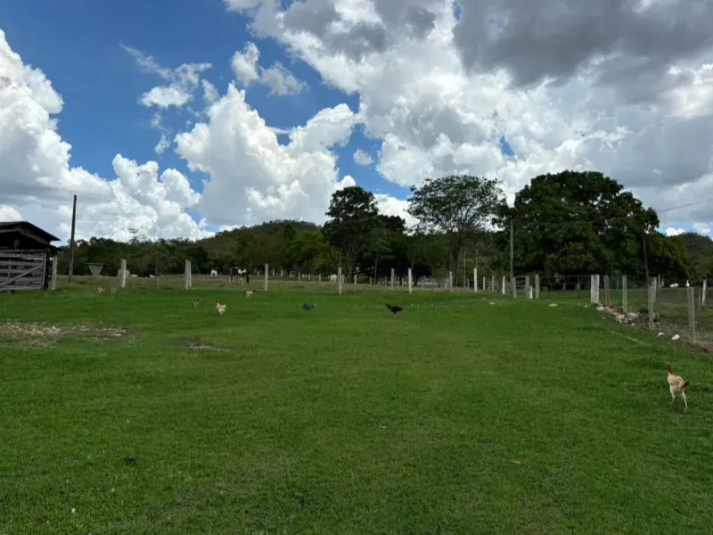 Fazenda em Goiás/Goiás — Ref 9C5N41 — Imagem 3