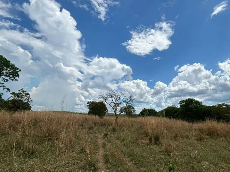Fazenda em Goiás/Goiás — Ref 9C5N41 — Imagem 10