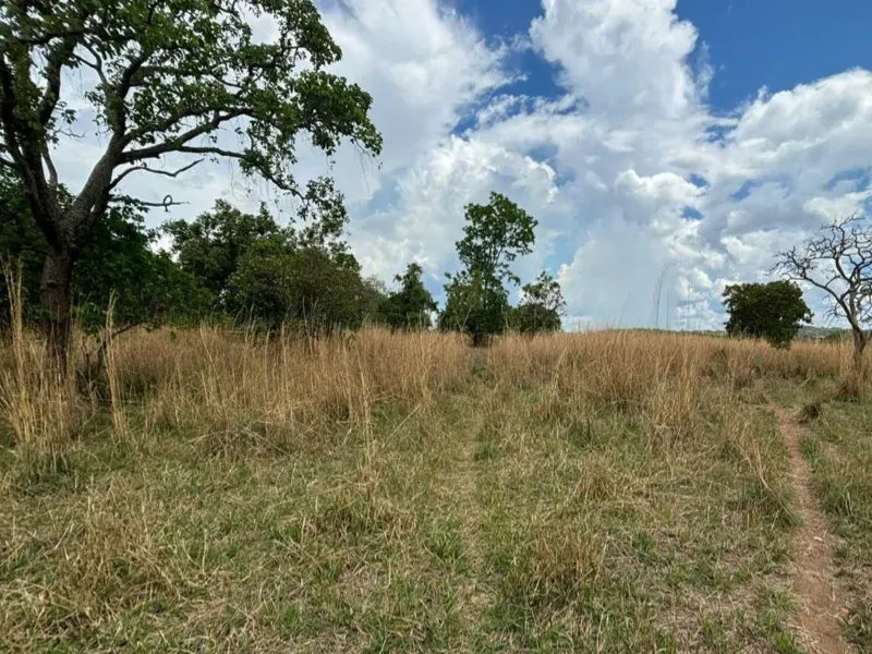 Fazenda em Goiás/Goiás — Ref 9C5N41 — Imagem 11
