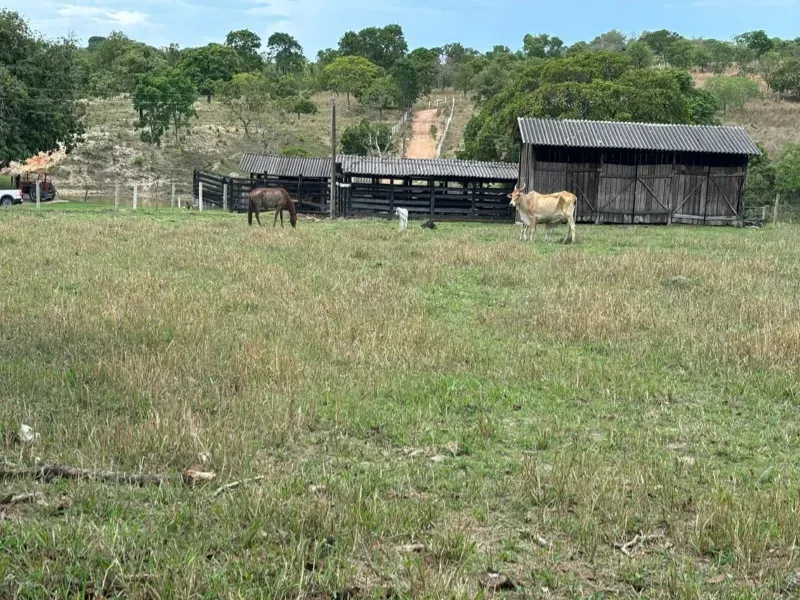 Fazenda em Goiás/Goiás — Ref 9C5N41 — Imagem 13