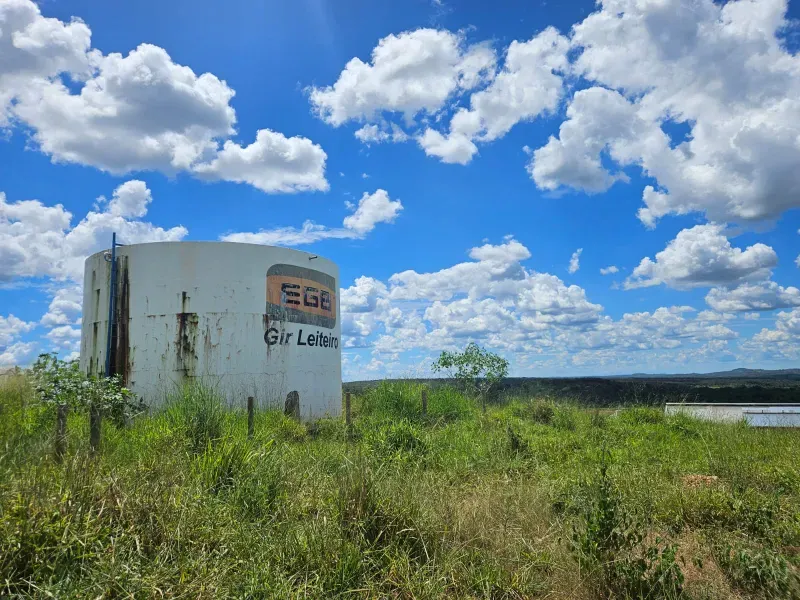 Fazenda em Cordisburgo/Minas Gerais — Ref AE2NLK — Imagem 3