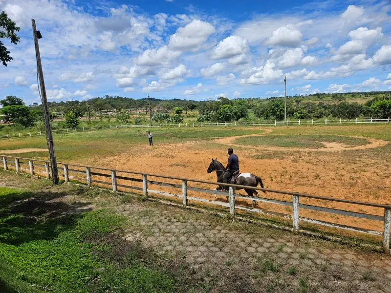 Fazenda em Cordisburgo/Minas Gerais — Ref AE2NLK — Imagem 19